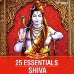 25 Essentials - Shiva - Sanjeev Abhyankar Song Download